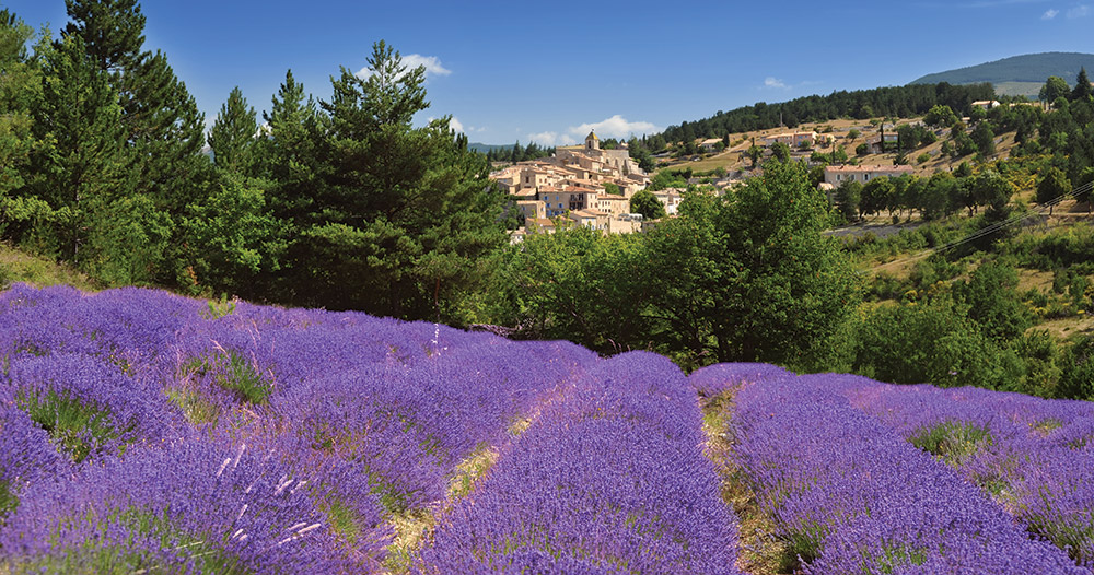 Perfume of Provence